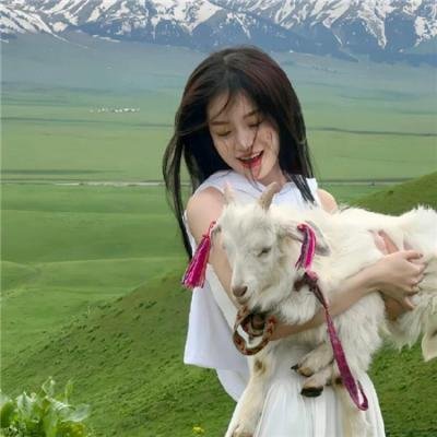 汪星人的奇幻漂流